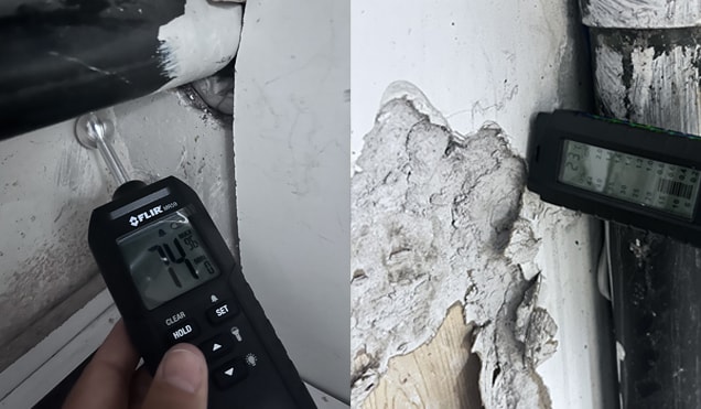 Humidimètre FLIR — mesure d'humidité sur mur